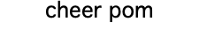 cheer pom